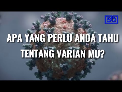 Video: Apa Yang Anda Perlu Tahu Mengenai ISIS