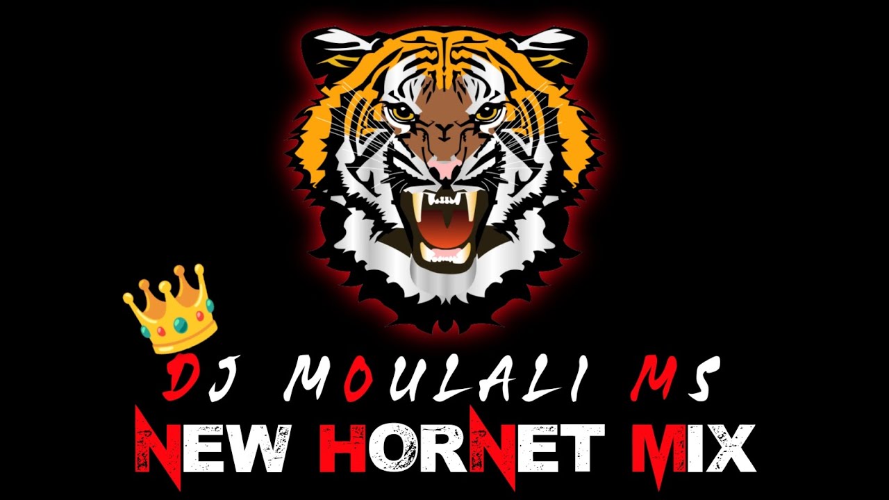 NEW HORNET MIX DJ MOULALI MS