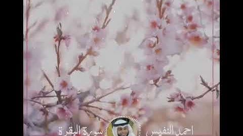 قرآن كريم بصوت احمد النفيس💜||حالات واتس اب