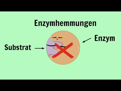 Video: Unterschied Zwischen Reversibler Und Irreversibler Hemmung