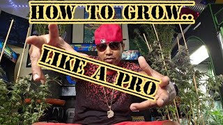 The DO'S to growing AMAZING cannaBUD$!!!