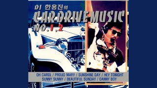 Beautiful Sunday - Various Artists