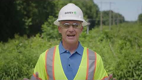 Utility Vegetation Management: Impact of Climate Change