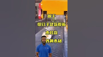 Branch shredders can increase efficiency. #fcnfm #youtubeshorts #treebranch #machinery #tree