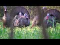 Epic Turkey Hunt To Start The 2021 Season!