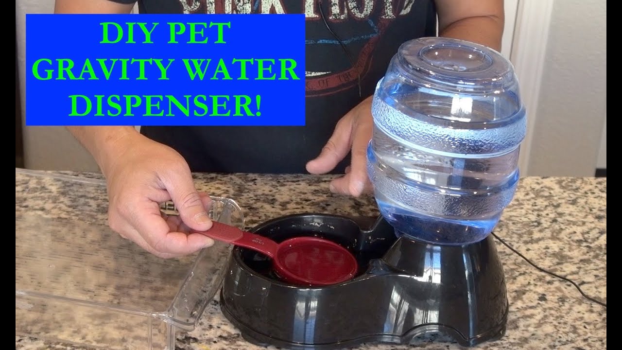 How to Make a Simple Gravity Water Dispenser for Your Pets! 