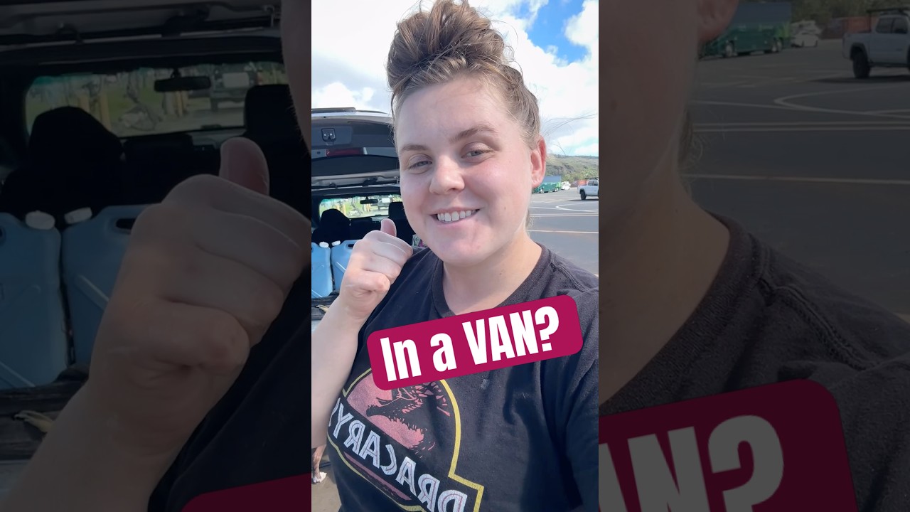 Bathing the Dogs 🐶 🧼  #1stellarlife #vanlife #gamification #dogs