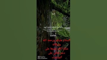 آيات من القرآن الكريم محتوى قرآن الكريم #اكسبلور #فولو #لايك #راحة_نفسية #اكسبلورر #حالات_واتس
