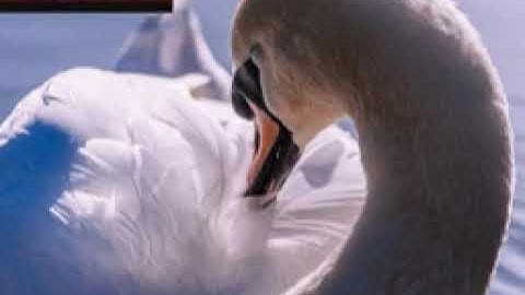 Productionswhistling Meter ljgfsvqkpp