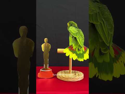 Oscar 2025: Me