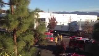 Paul Walker accident with Porsche Carrera GT
