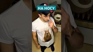 Подождите, что это у вас на носу?? 1 сентября!!! #рекомендации #смешнойшортс #юмор