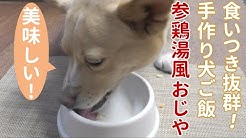 愛犬が大好き 帝塚山ハウンドカム Houndcom公式