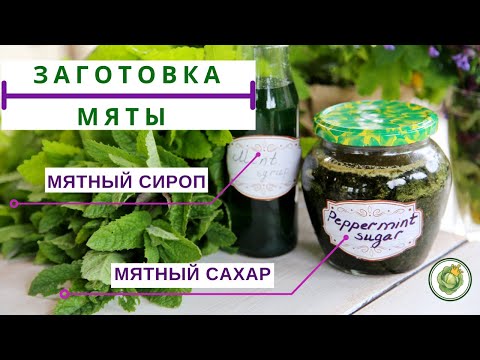 СБОР И ЗАГОТОВКА МЯТЫ//2 СУПЕР РЕЦЕПТА