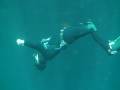 Sidemount scuba diving with a single cylinder