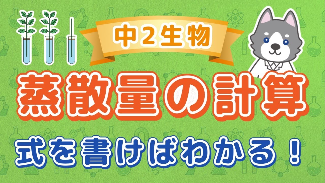 中2理科『蒸散量の計算問題』
