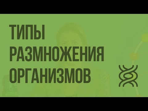 Типы размножения организмов. Видеоурок по биологии 9 класс