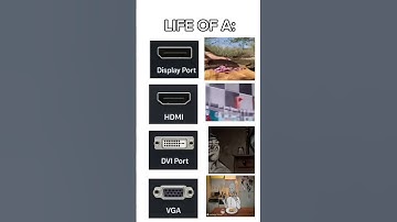 What type of cable does your GPU use? #pc #pcgaming #gaming #gpu