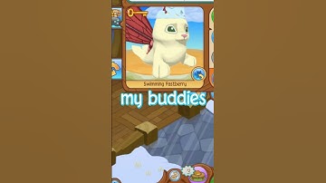 Best Look on Animal Jam?