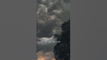قرآن كريم راحه نفسيه 🌿 أيه ولقد كتبنا في الزبور 🌿 القارئ ماهر المعيقلي 🌿 #قرآن_كريم #ماهر_المعيقلي