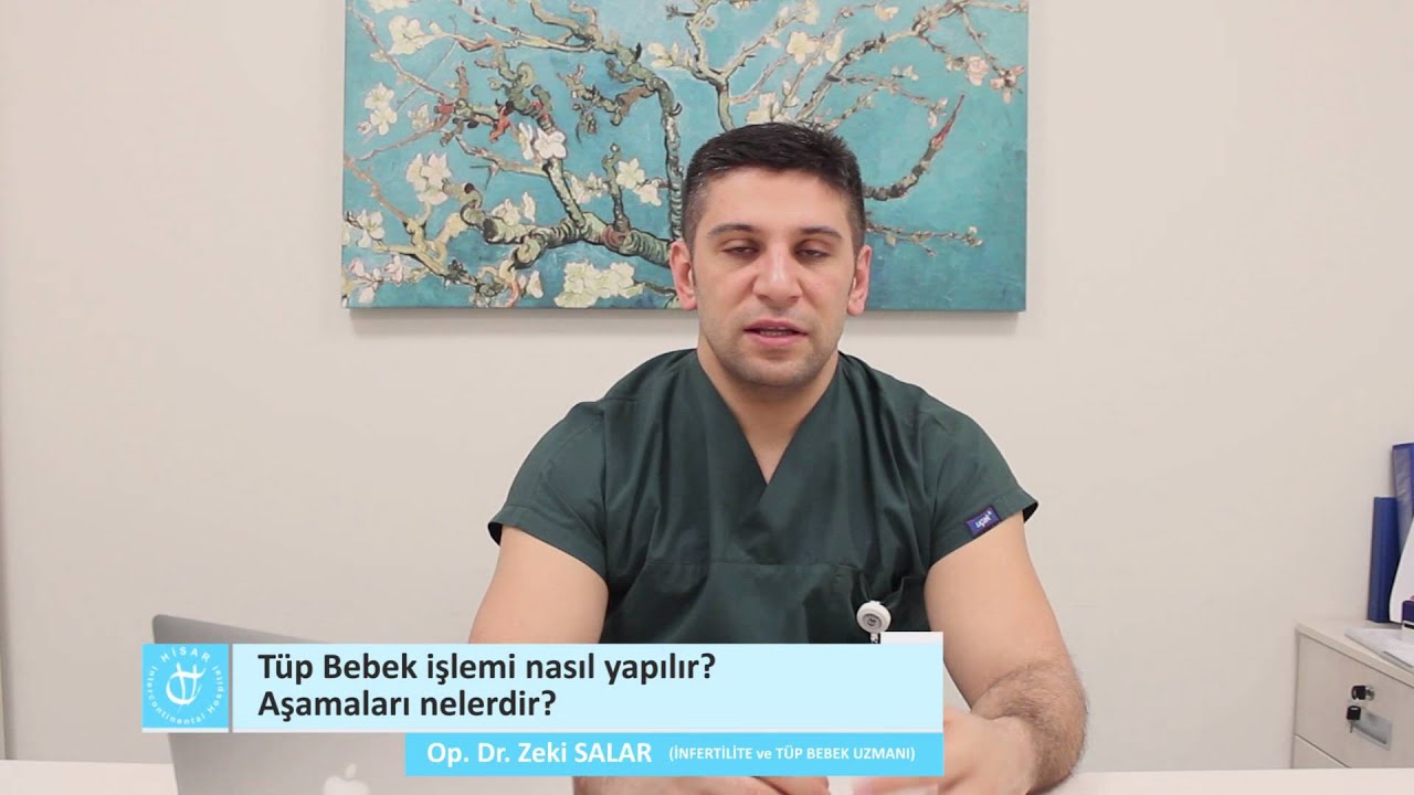 Tüp bebek aşamaları Tüp bebek aşamaları