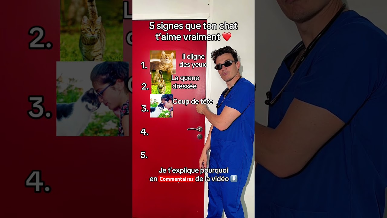 5 signes que ton chat t’aime #cat #chat #top