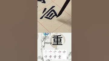 学习写汉字“重/Heavy/重要/Important” Learn to write chinese characters
