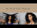 CURLY HAIR ROUTINE 2020 | WASH N GO STYLE