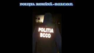 VIDEO: Percheziții de amploare la Sibiu la persoane bănuite de spălare de bani - Mii de victime înșelate 1 video