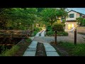 Quiet Dawn Walk Along Philosopher S Path Kyoto Japan 4K Morning Ambience Quiet Dawn Walk Along Philosopher S Path Kyoto Japan 4K Morning Ambience