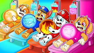 BREWING CUTE BABY \& BREWING CUTE PREGNANT, BUT ELEMENTAL - Paw Patrol Ultimate Rescue - Rainbow 3