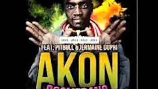 pitbull \u0026 akon - boomerang ft dj felli \u0026 jermaine dupri