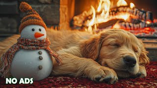 12 Hours of Calming Music for Dogs 🐶❄️ Soothing Sounds for Separation Anxiety🐶🎵 Deep Sleep 💖 No Ads