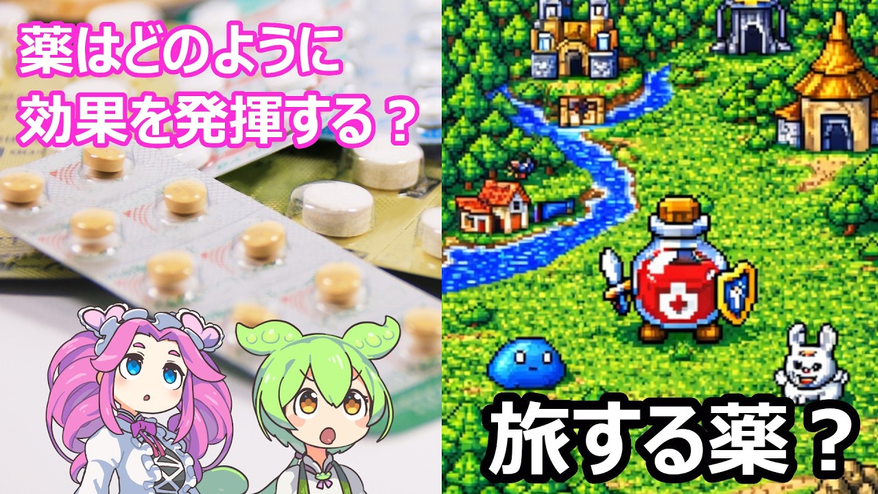 薬はどのように効くのか？たんぱく質を目指す薬の旅【ずんだもん＆四国めたん】