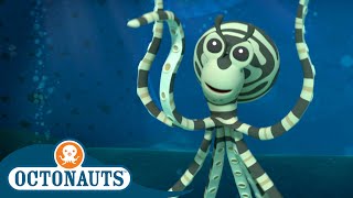 Octonauts  The Mimic Octopus | Cartoons for Kids | Underwater Sea Education