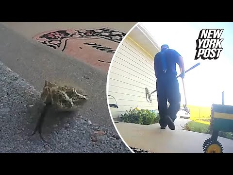 Hero FedEx driver kills rattlesnake on woman’s porch: ‘I hope you didn’t have a pet’