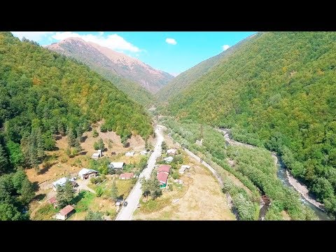 ერეკლე ჭინჭარაულის დოღი