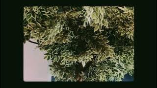 Barakallahufiumrik besti