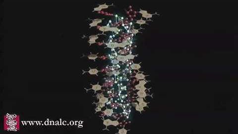 Triple Helix