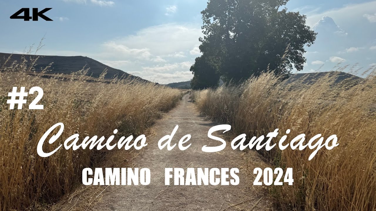 👉 Camino de Santiago - Camino Frances #2 | 500 миль (800 км) | Июль - Август 2024 | 31 день