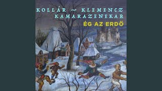 Video thumbnail of "Kollár-Klemencz László - Pápá nyugodj békében"