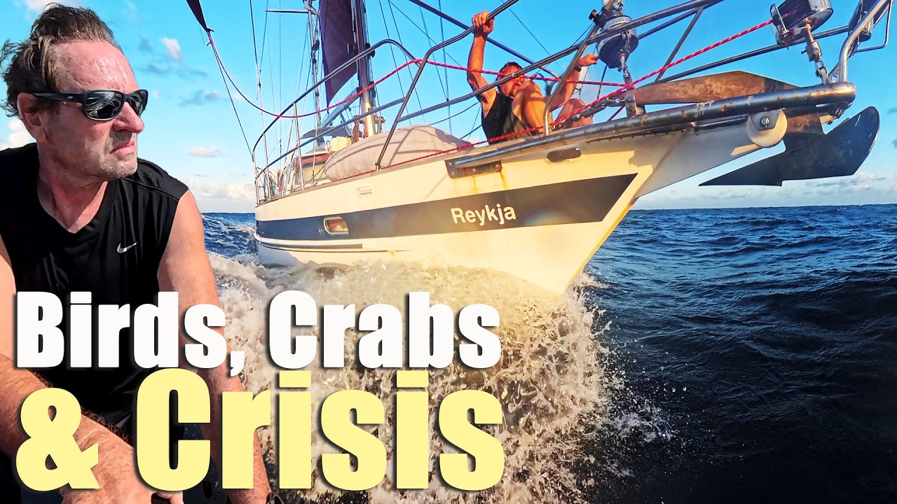 ⁣Birds, Crabs & Oil Pressure Crisis. Sailing 1500 Miles from Australia to Christmas Island
