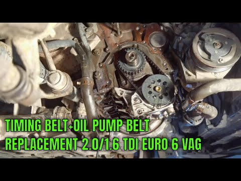Complete Timing Belt