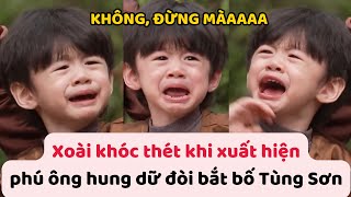 Xoài 'khóc thét' khi xuất hiện phú ông hung dữ đòi bắt bố Tùng Sơn | Mẹ vắng nhà ba là siêu nhân