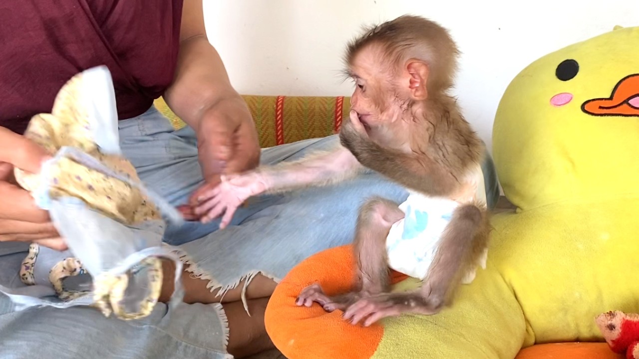 So Lovely!! Smart baby LIORA wants to hug her new clothes when Mom puts them on for her
