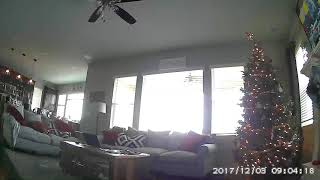 The Yuhnke Christmas tree falls over!