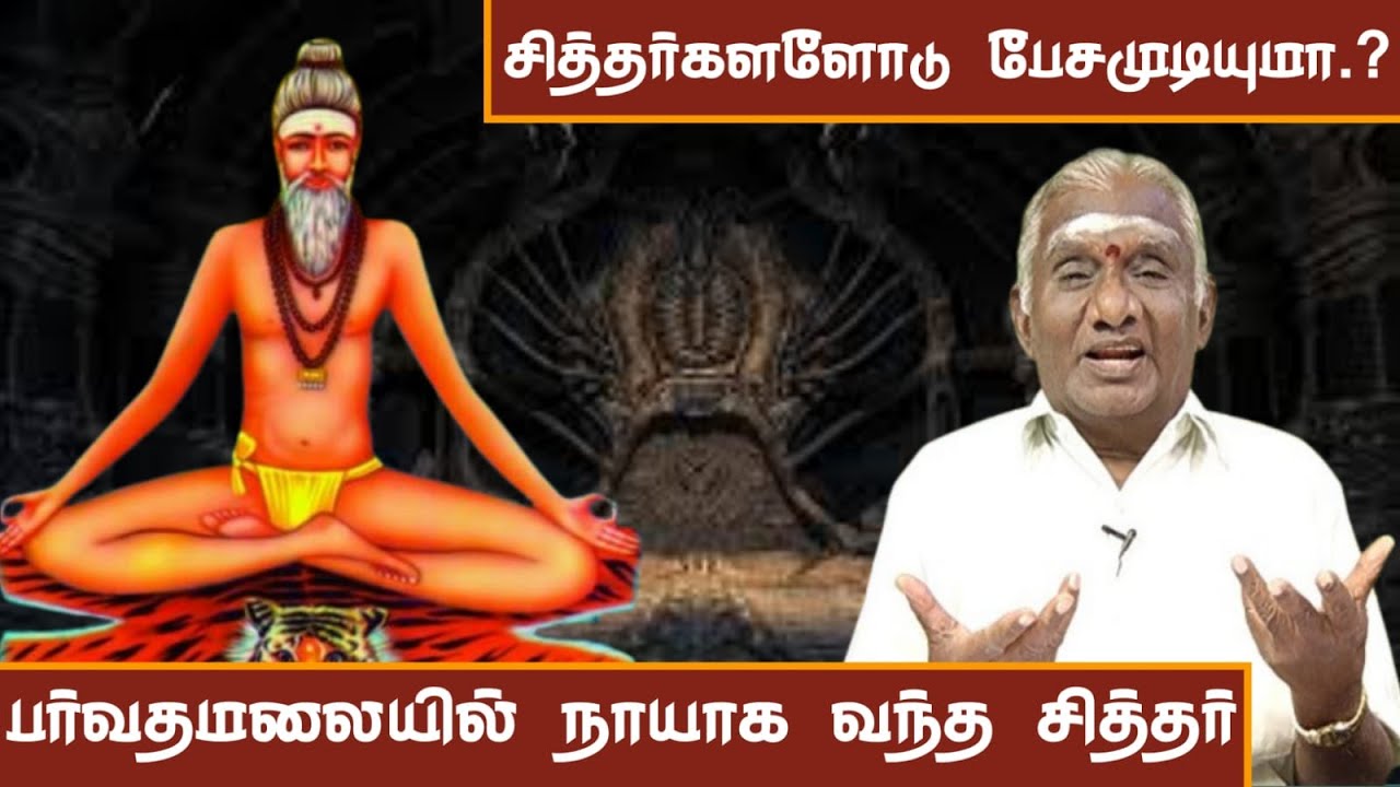 சித்தர்களோடு பேசமுடியுமா.? பர்வதமலையில் நாயாக வந்த சித்தர் | The Shocking Secrets of 18 Siddhar!