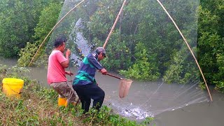 Menganco belanak 10 minit penuh Tong - Traditional Net Fishing