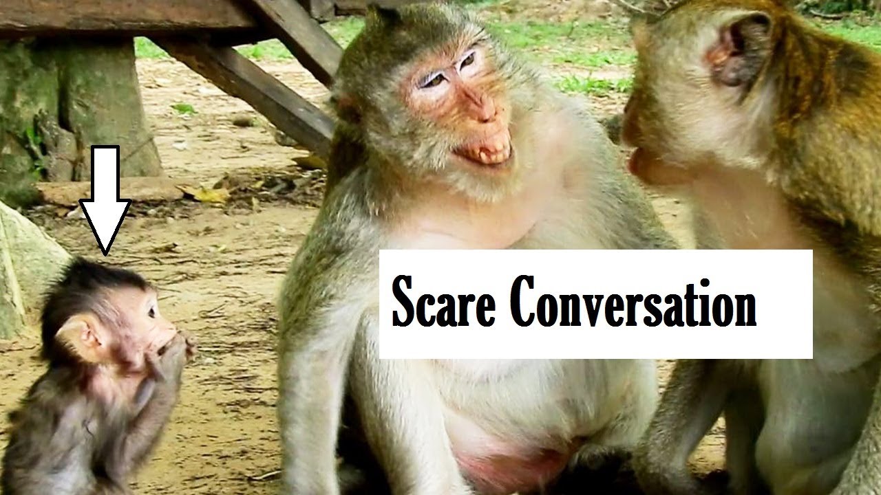 foundry Beautiful Lizza Looking To Mom Making Conversation To Alpha With Very Scare