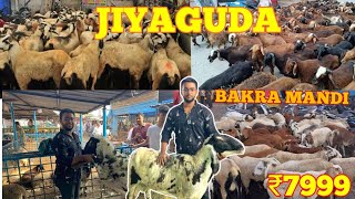 HYDERABAD JIYAGUDA BAKRA MANDI  | 2024  |  HYDERABAD BAKRA MARKET |